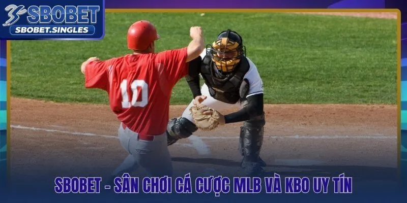 Nền tảng cá cược bóng chày Sbobet uy tín với giấy phép kép quốc tế